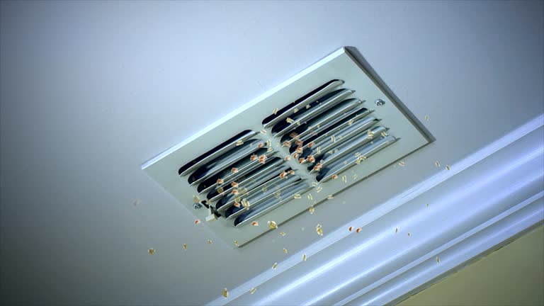 Best Local Air Duct Cleaning Services  in Monument Hills, CA