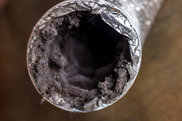 Best Home Air Vent Cleaning  in Monument Hills, CA